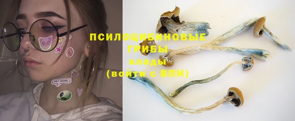 хмурый Абинск