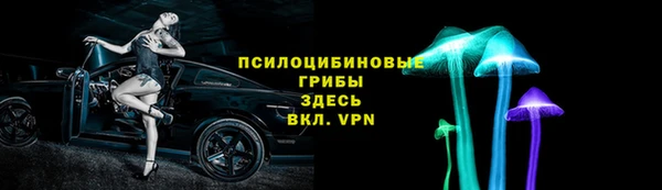 сатива Абаза