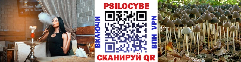наркота  Фатеж  Псилоцибиновые грибы прущие грибы 